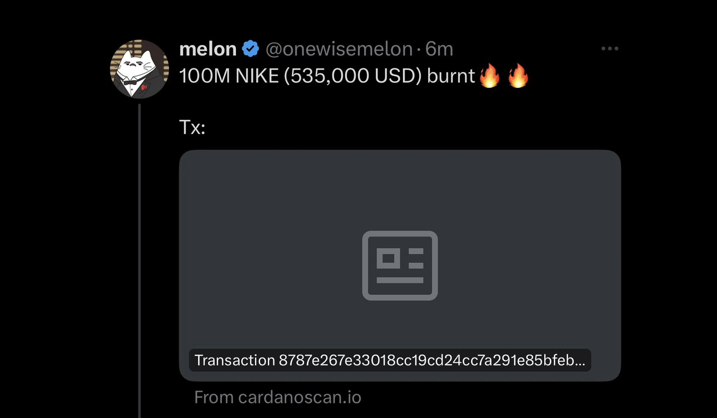 melon100mburn